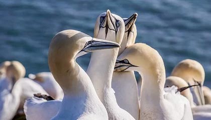 战斗爽!涵艺:这赛季改版很成功,是靠肌肉的版本 强队之间也要依靠打架和团战能力获胜